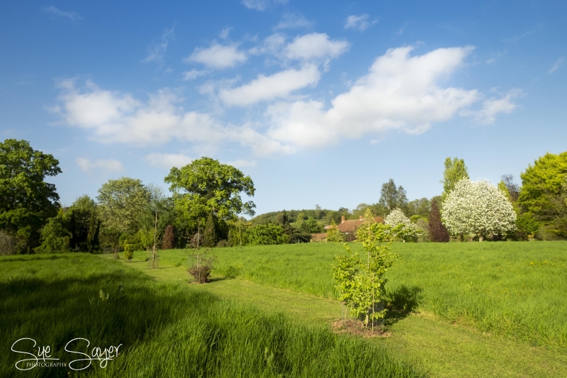 Little Yarford Farmhouse